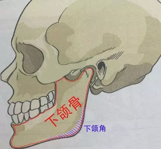 做下颌角磨骨手术前  你必须知道的事