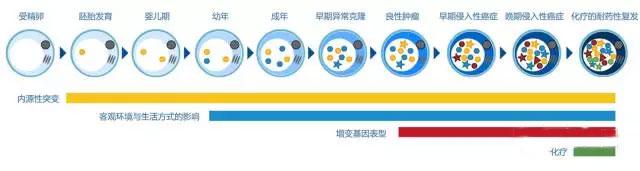 详解其过程和可能的影响