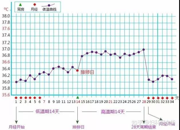 备孕小技巧同房后增加受孕率的姿势倒立还是躺平