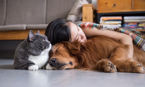 狗狗睡眠的8个科学真相 与狗狗同眠 女性更有安全感 睡得更香 知乎