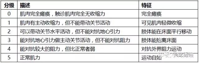 根据肌力的情况,一般均将肌力分为以下0