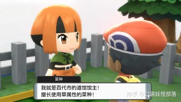 宝可梦晶灿钻石发售日期(《宝可梦晶灿钻石明亮珍珠》一周目图文攻略)  第84张