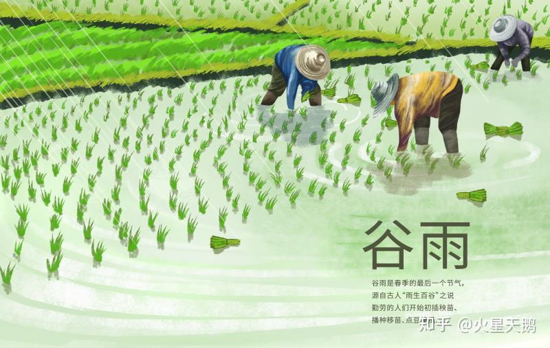 谷雨的英文名为"grain rain",英文中理解谷雨 - 知乎