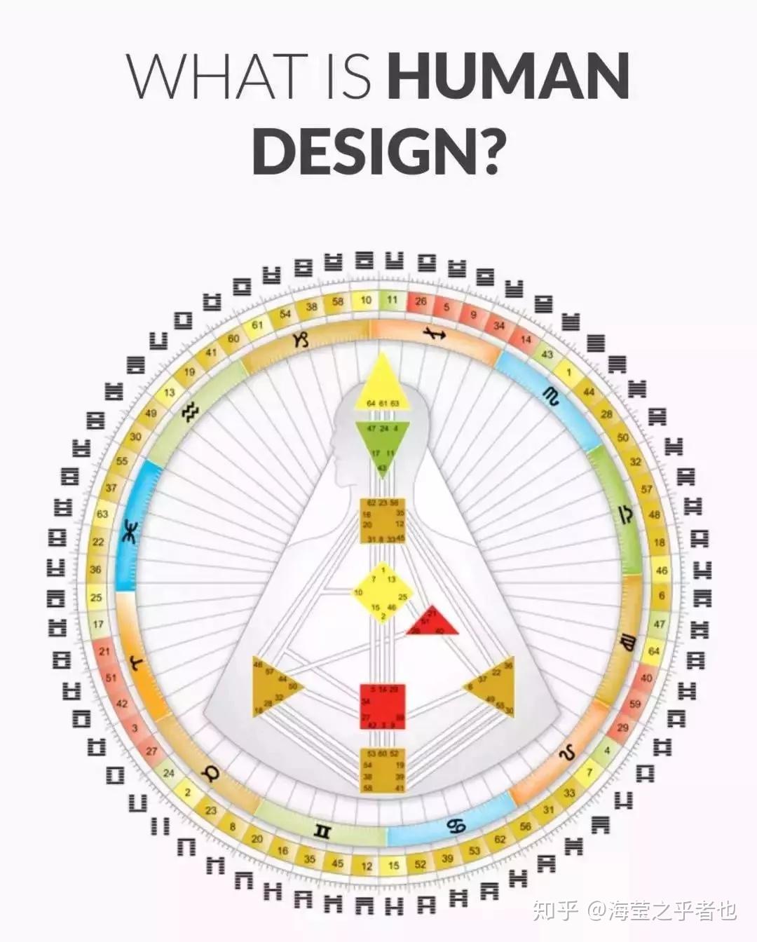 解读人类图: 读懂此生说明书 - 知乎