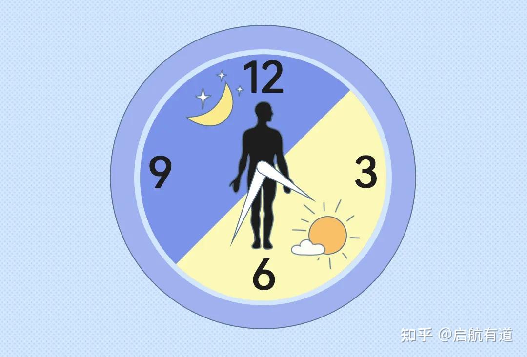 周末补觉?危害可能比熬夜还大 - 知乎
