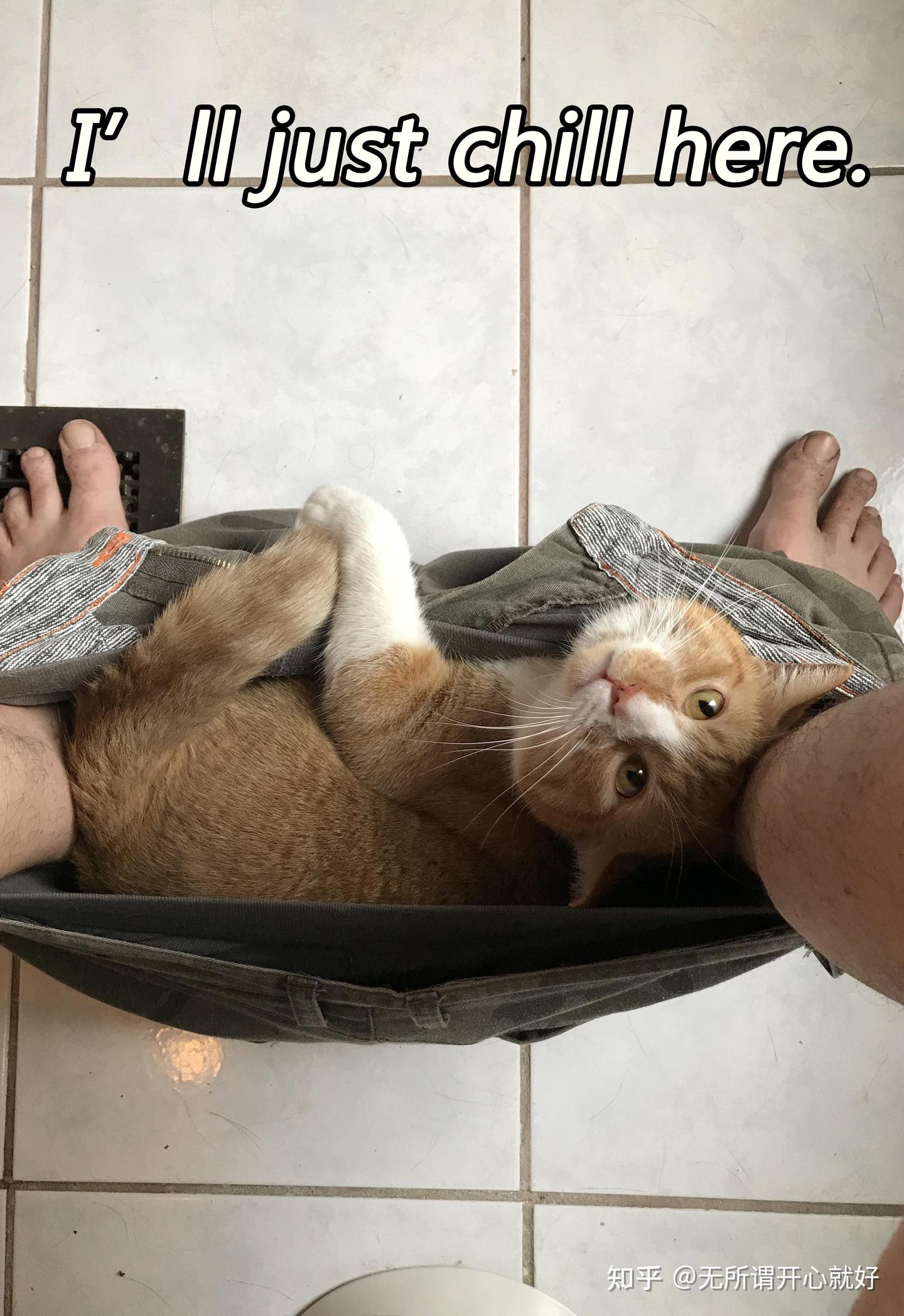 样稿-8）I am cool bro！兄弟我冷静下来了！ - 知乎