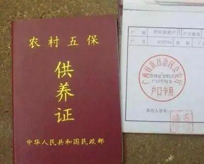 没有父母没有配偶没有子女，假如你还没有钱的话，那你就会变成五保户。每个月能领取1000多元补助（是普