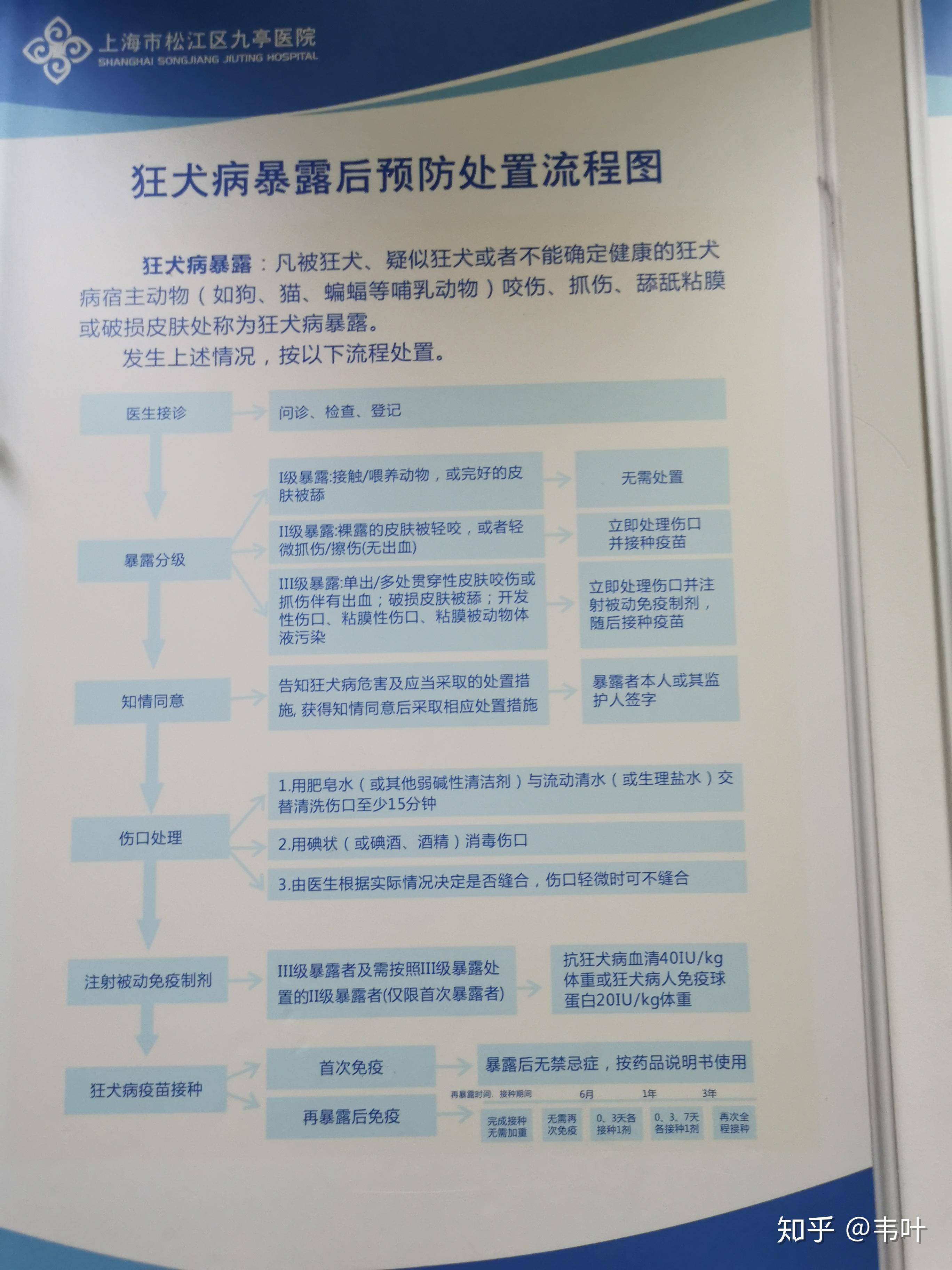 在上海接种狂犬疫苗的经历