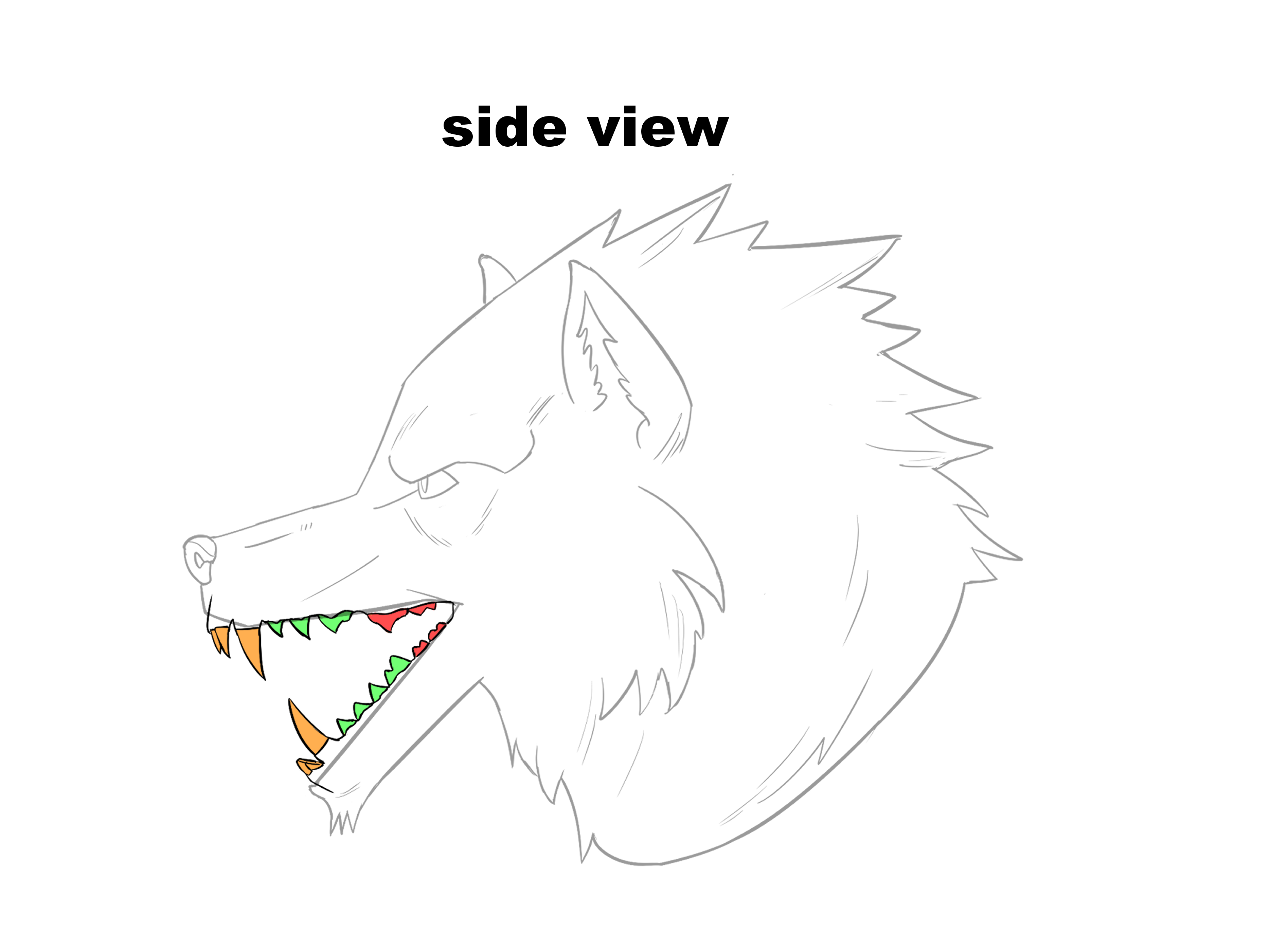 教你绘制狼人兽设的画法教程!