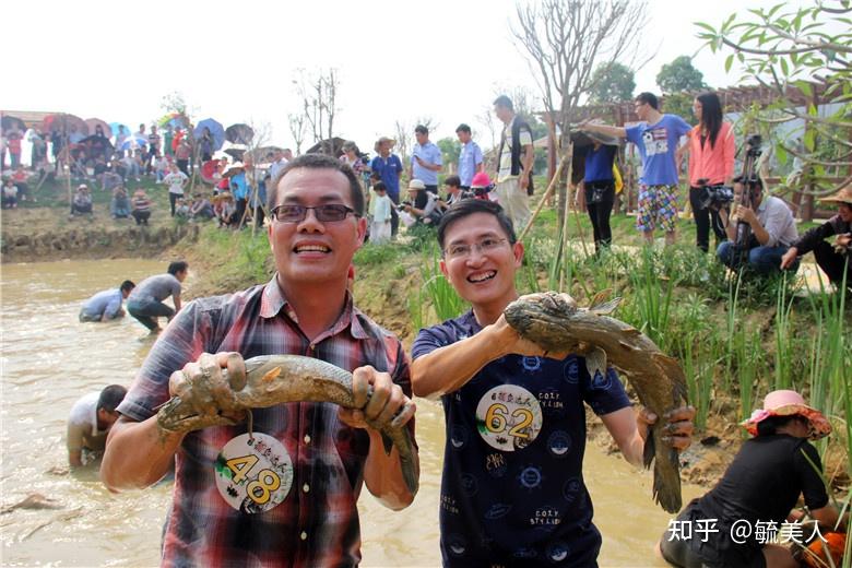 佛山漁耕粵韻文化園五一舉行夏日魚樂活動遊客可以抱大魚回家