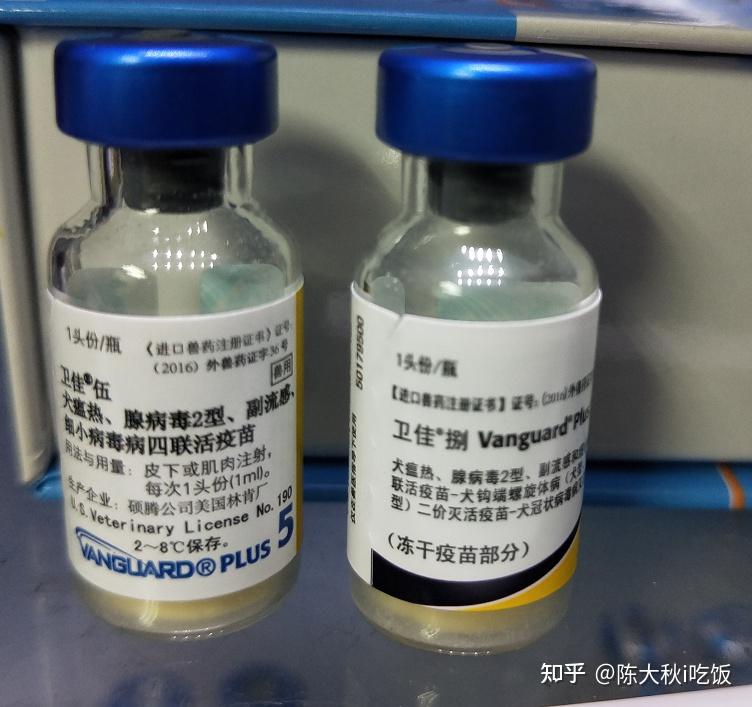 一,注射疫苗的基本流程