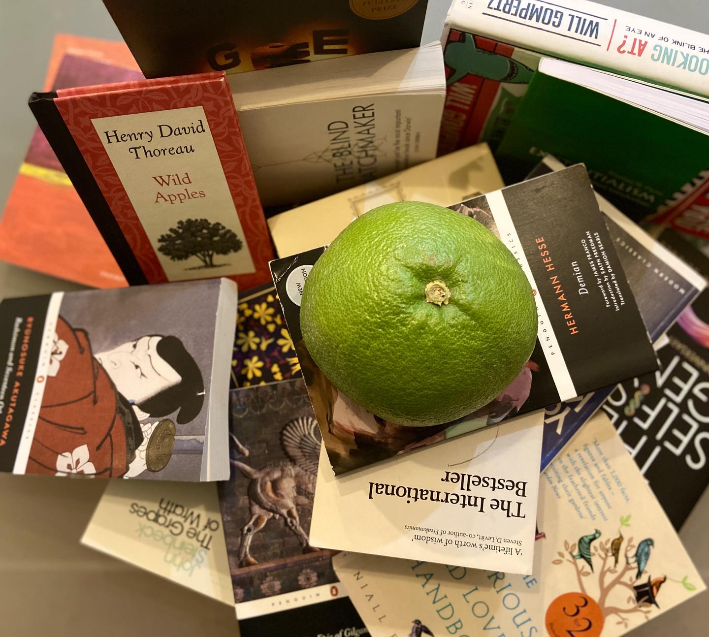 19年度书单 知乎