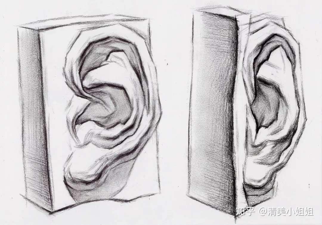 耳朵石膏素描不同角度图片