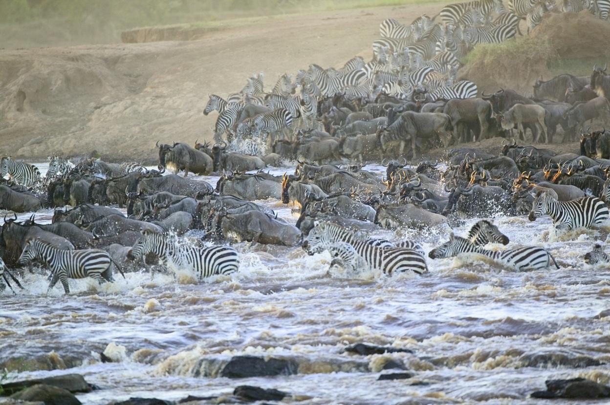 去非洲旅游有哪些重点推荐?