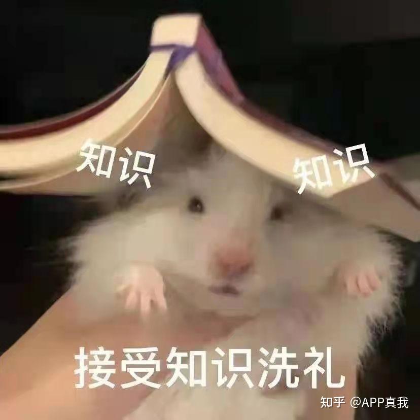 怎样才能变得不敏感 v2-e6de20a90c6626938f8e124f9bd2f1d6_r.jpg