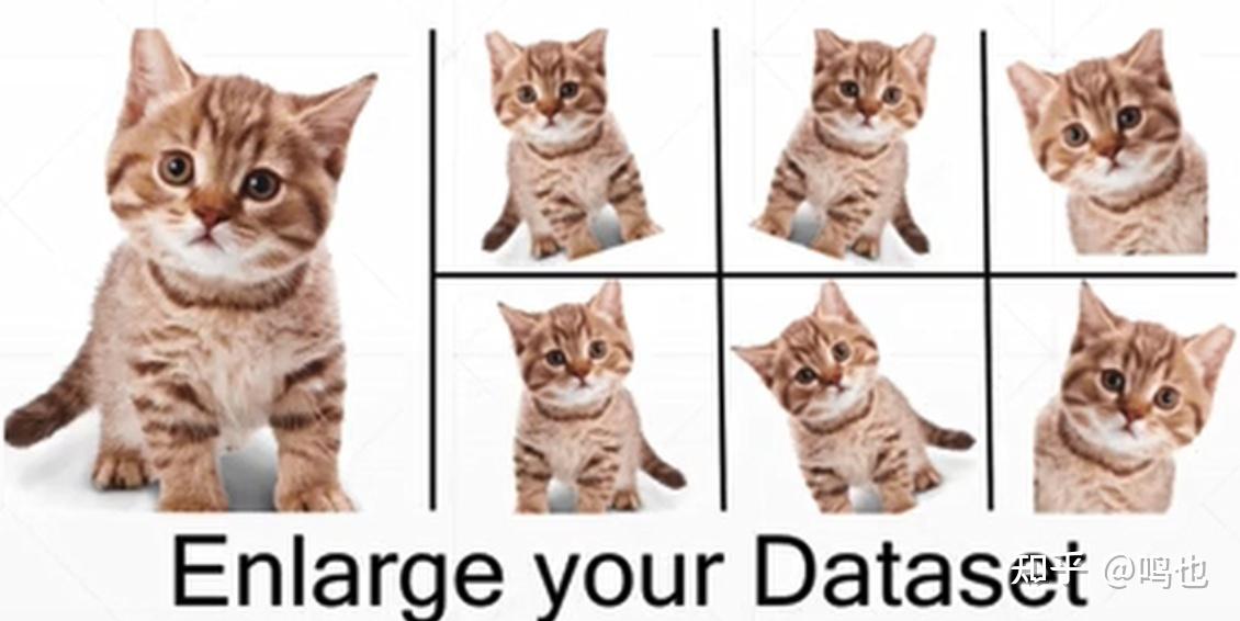 数据增强 Data Augmentation Pytorch - 知乎