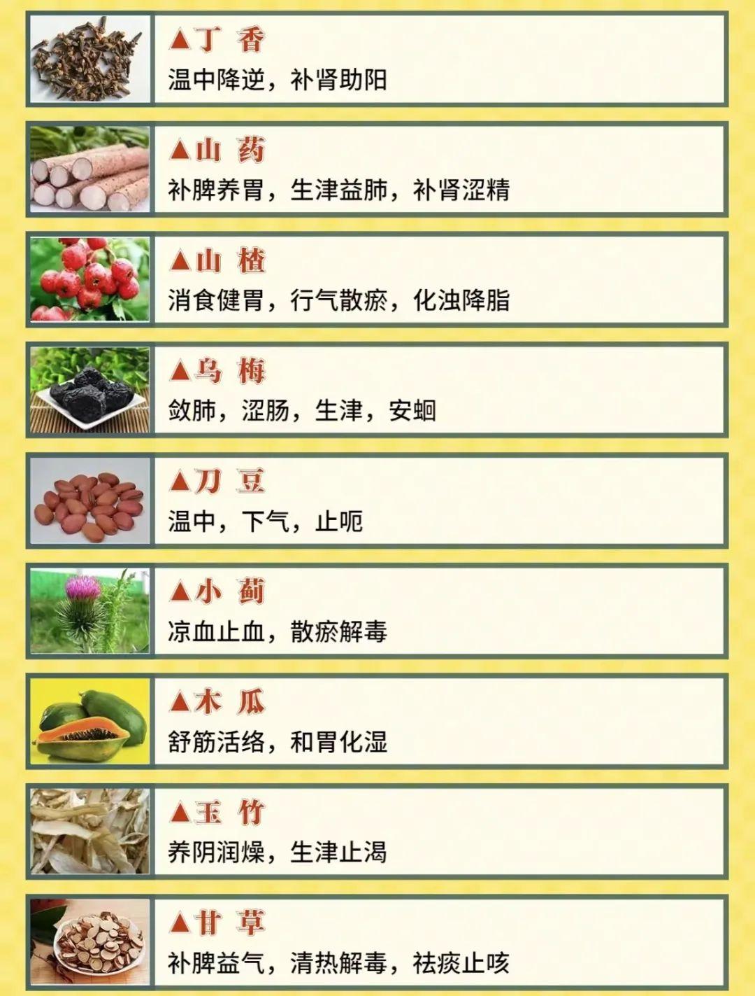 【收藏】72味常见药食同源中药材图示及功效 - 知乎