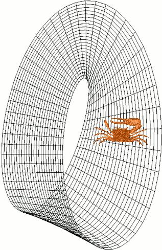 374人 赞同了该文章 "橡皮泥几何"入门 我在大学学习拓扑时,总是不可