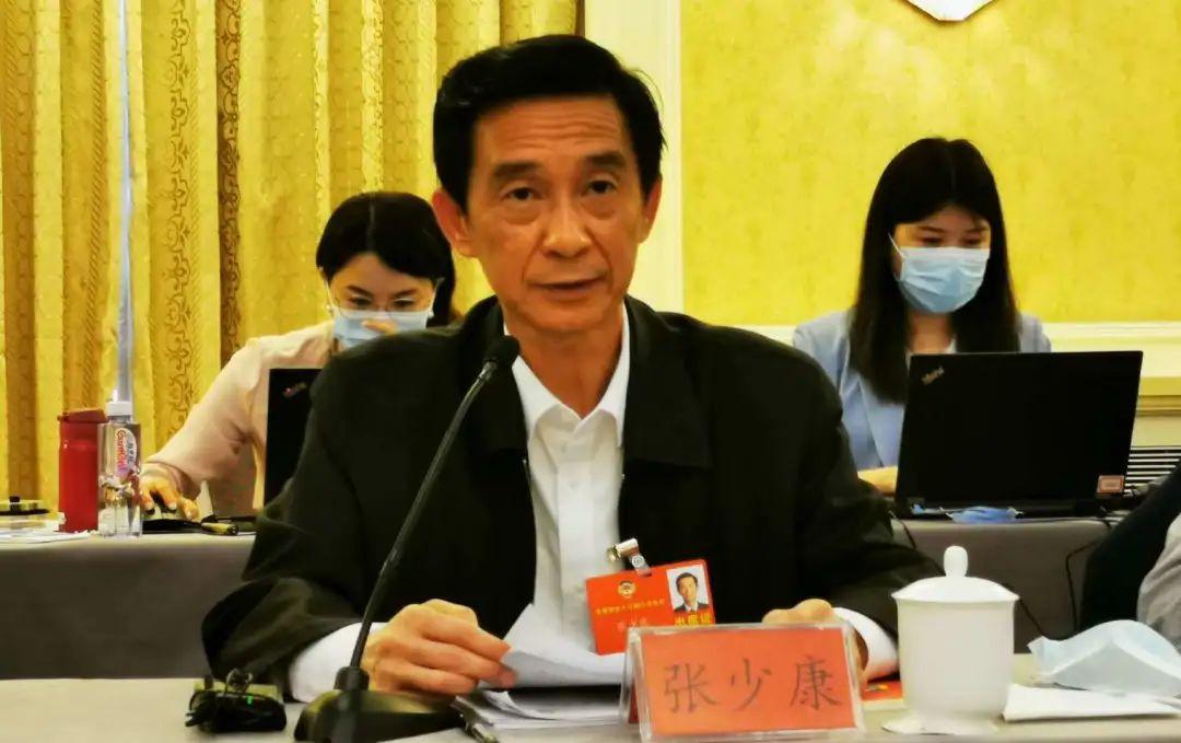 全国政协常委张少康聚焦农村安居宜居助力决胜脱贫攻坚