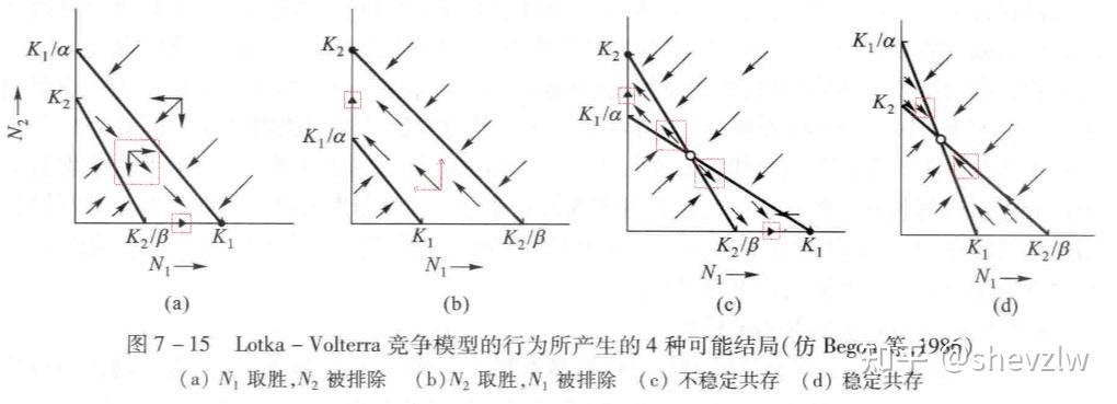 种间竞争的图像图片