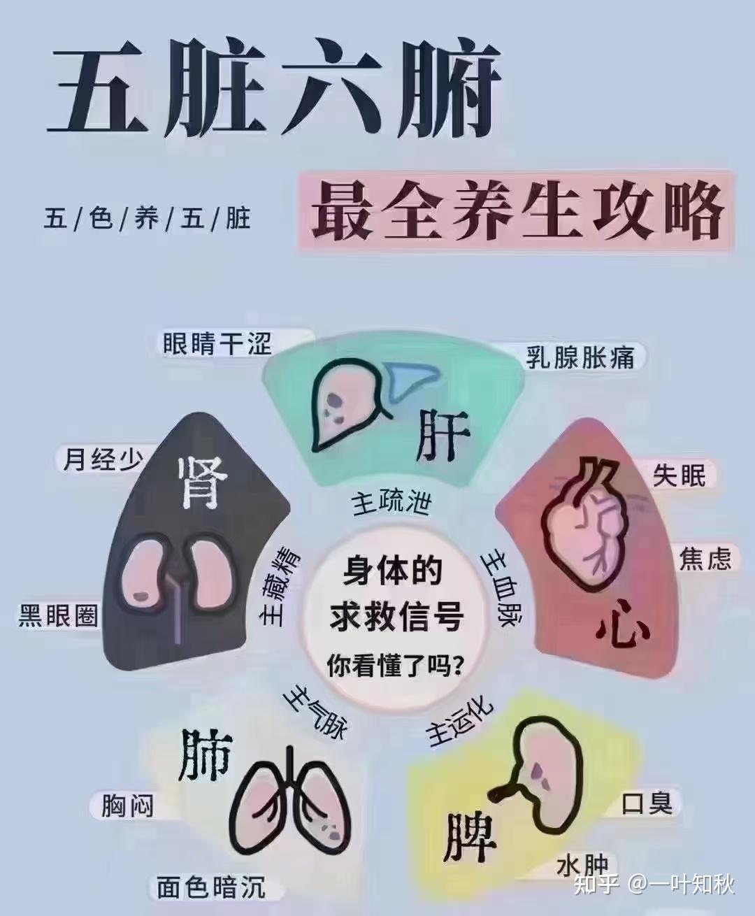 秒看身体的各种求救信号 - 知乎