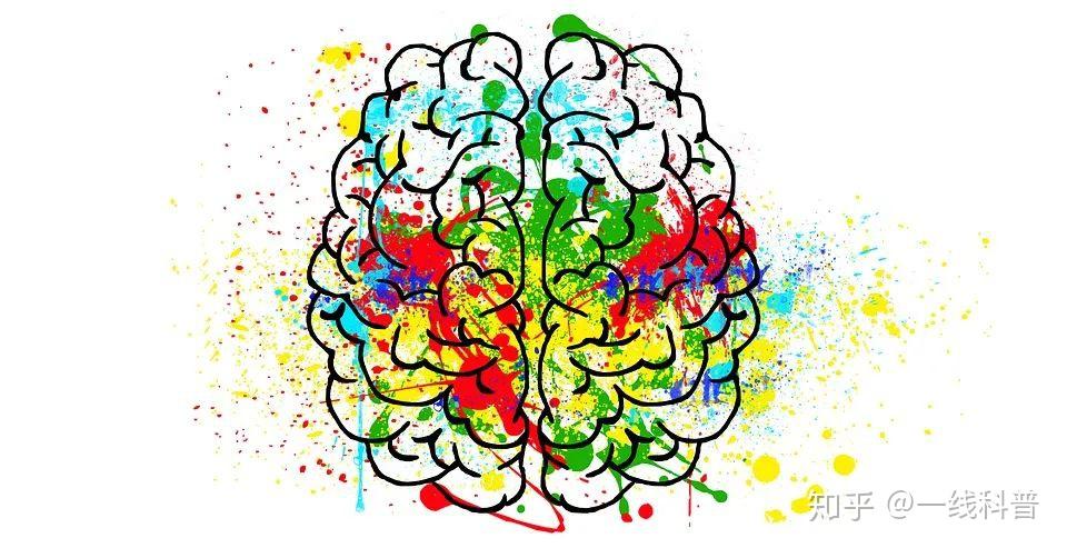 酸甜苦辣,喜怒哀乐!Science揭示:“情绪神经元”调控动物的面部表情 - 知乎