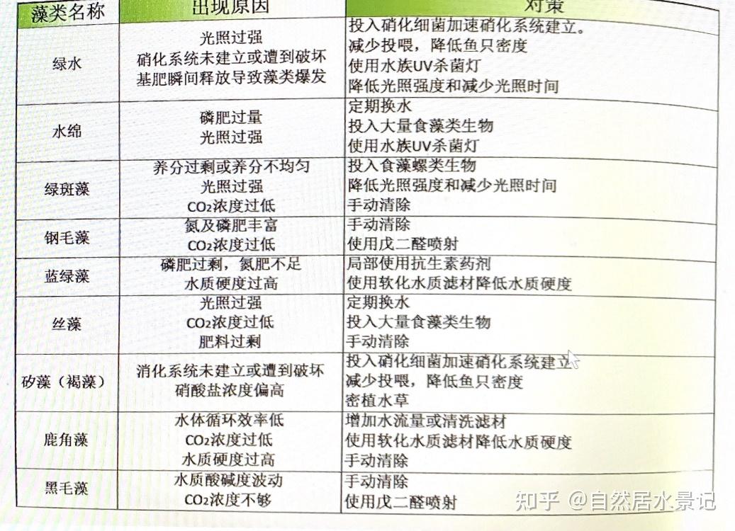 少换水鱼缸维护 14-水族药剂-【常见藻类除藻方法】