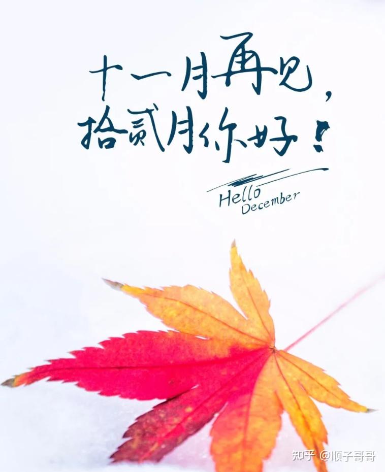 十一月再见早安祝福图片 12月你好暖心早上好祝福