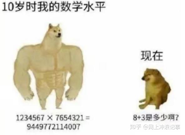 活在你表情包里的神烦狗Doge,本体现在过得怎么样? - 知乎