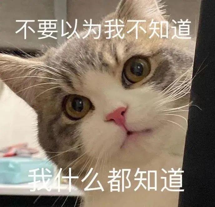 120张万能的表情包推荐-万能表情图片大全