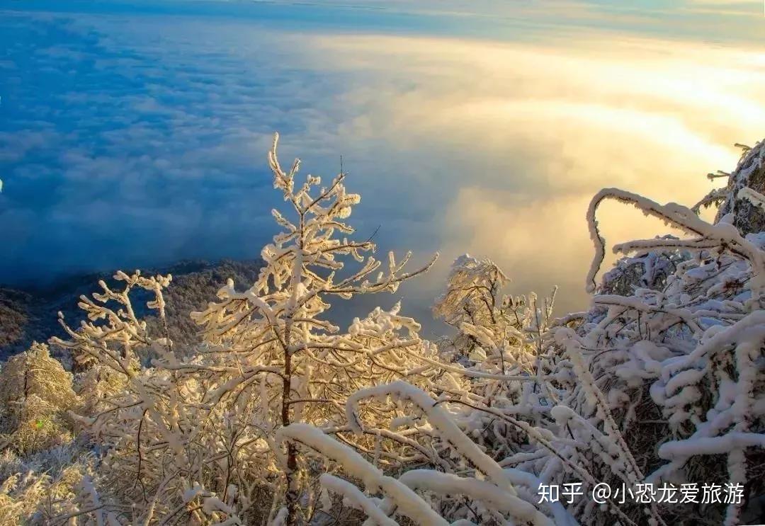 元旦旅行成都周邊一日遊抖音網紅拍攝地瓦屋山冰雪世界