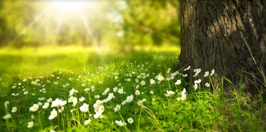 张文宏医生现在干嘛 v2-e77c6c189edb83ebc83790c6fd0af632_1440w.jpg?source=172ae18b