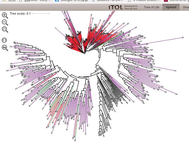详解进化树 - 知乎