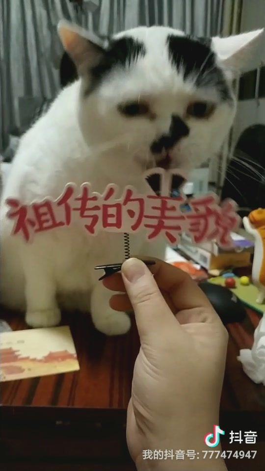 自生自灭是什么意思啊 v2-e7a04cec22d9203338f2e9e3cb7075a9.jpg