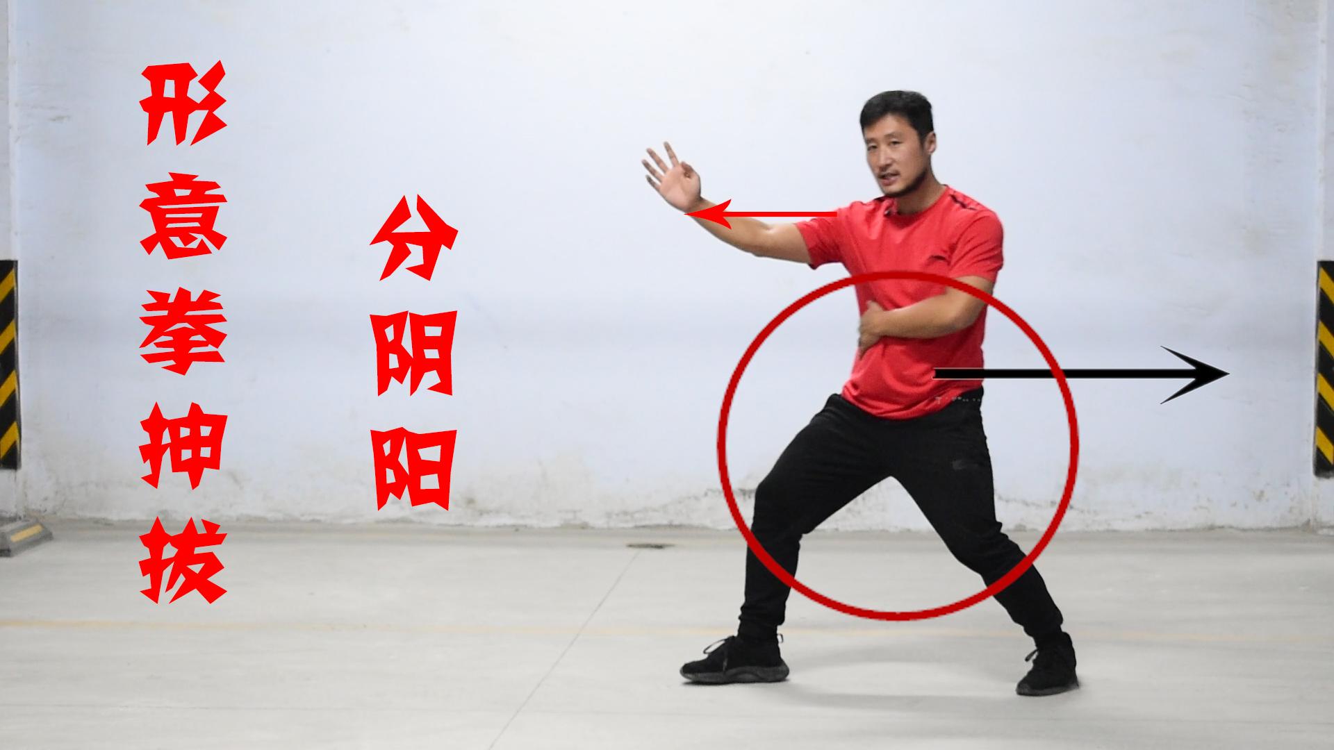 孙禄堂前辈龙形形意拳打法用法全有了