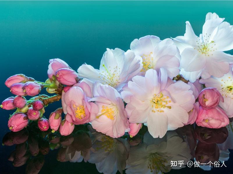 诗词曲虚与实艺术手法探析 - 知乎