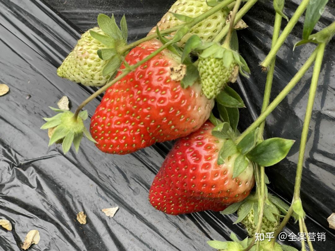 争创天府旅游名县|再见2022,细数那些时光里的小美好