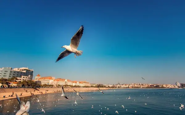 旅行攻略·青岛 | 青岛有什么值得去的地方?