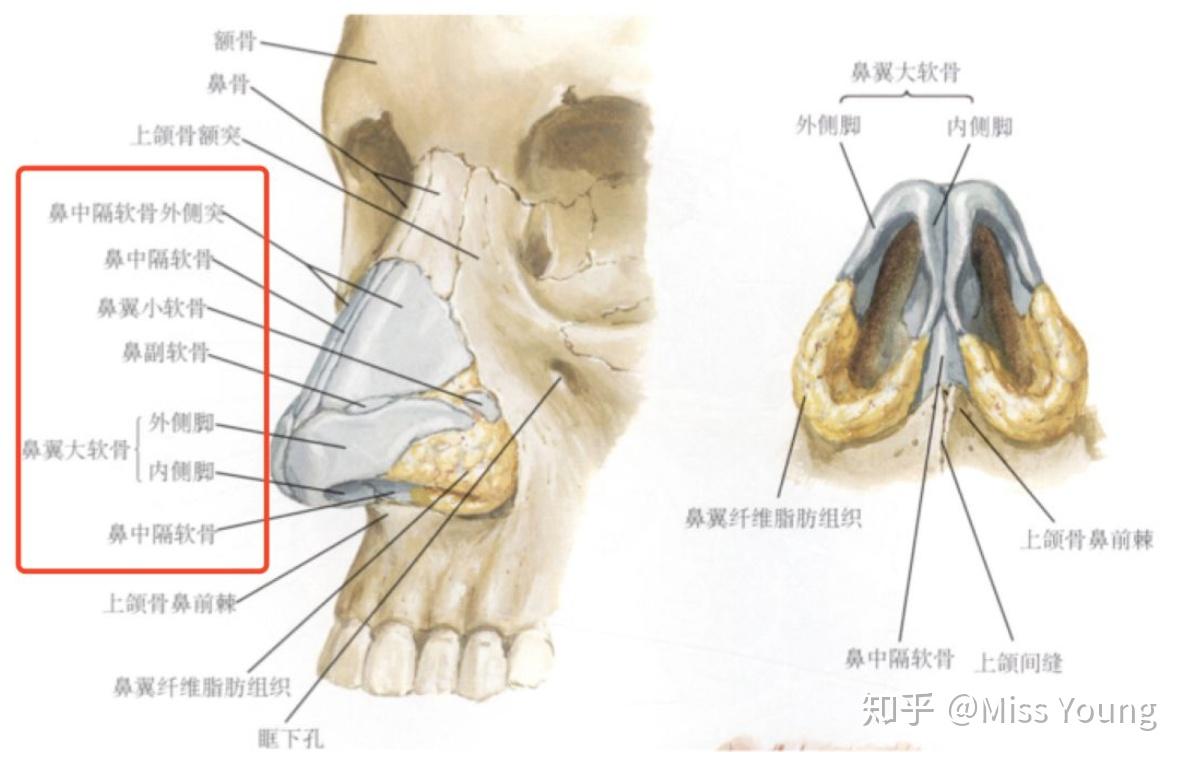 我从张天爱最新的脸上看到了几乎所有整形误区