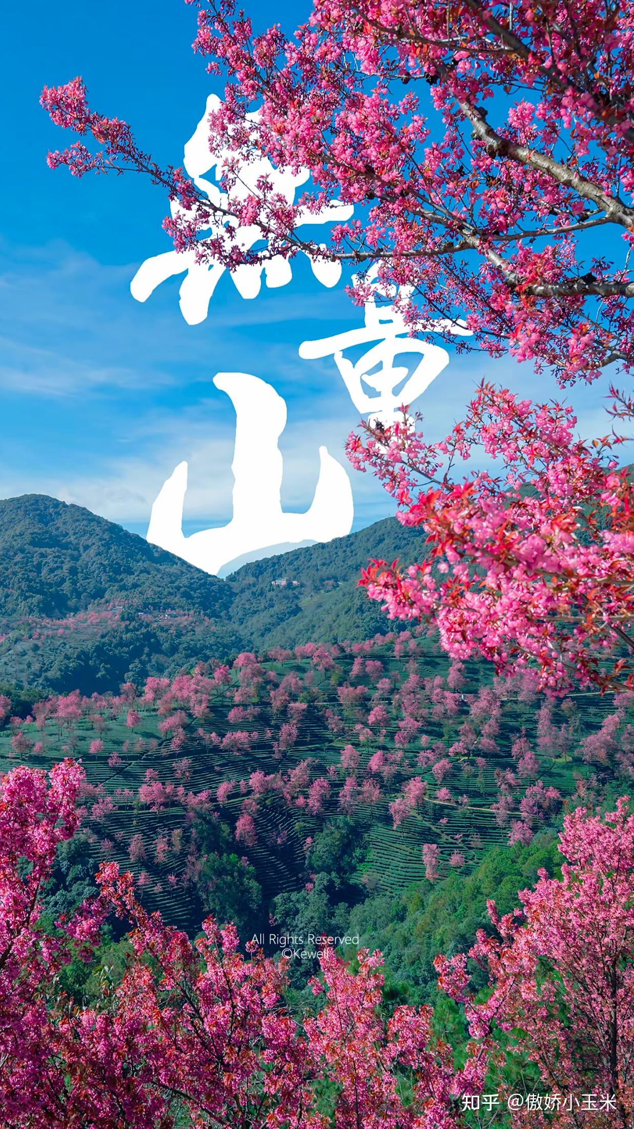 12月的大理,藏着全国最早的春天(冬樱全攻略) - 知乎