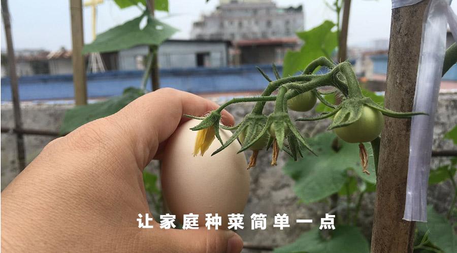 v2-e7d00467a5d86adf7fcde6b6bcf43bce_1440w.jpg?source=172ae18b