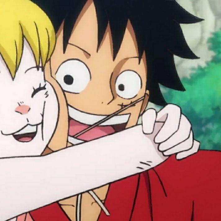 有没有大佬有海贼王无水印情头?