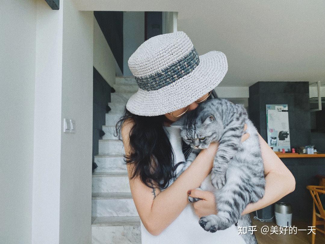 过来人告诉你,养猫后才懂的10件事,你中招了吗?