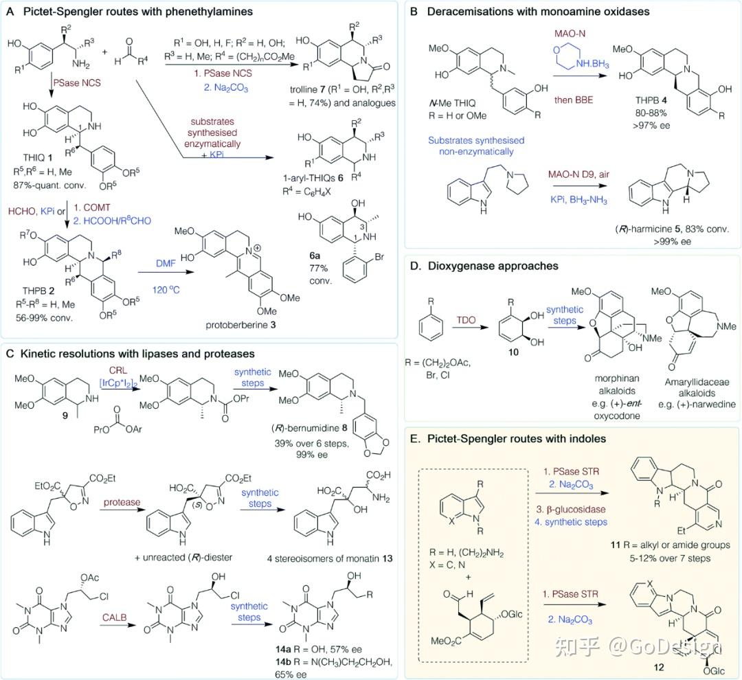【天然产物】化学 酶法合成植物天然产物的案例总结 知乎 