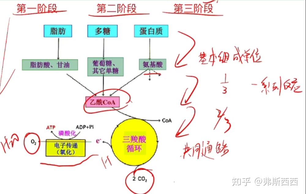 氧化物的思维导图图片