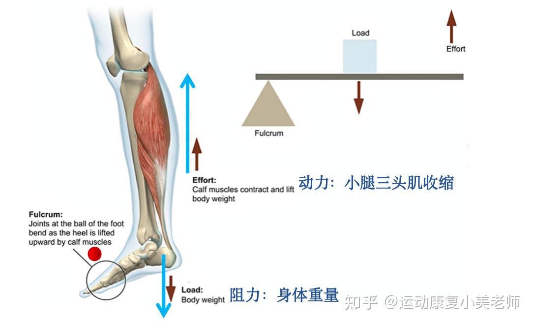 闭链运动图片