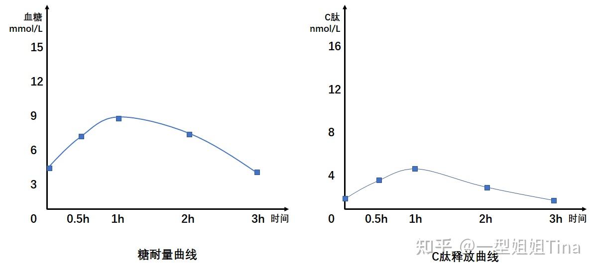 同的糖代謝狀態·判斷糖尿病的分型i型糖尿病常具有c肽水平低下的特點