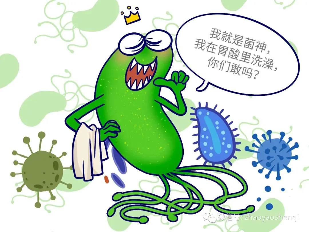 幽门螺杆菌卡通图片图片