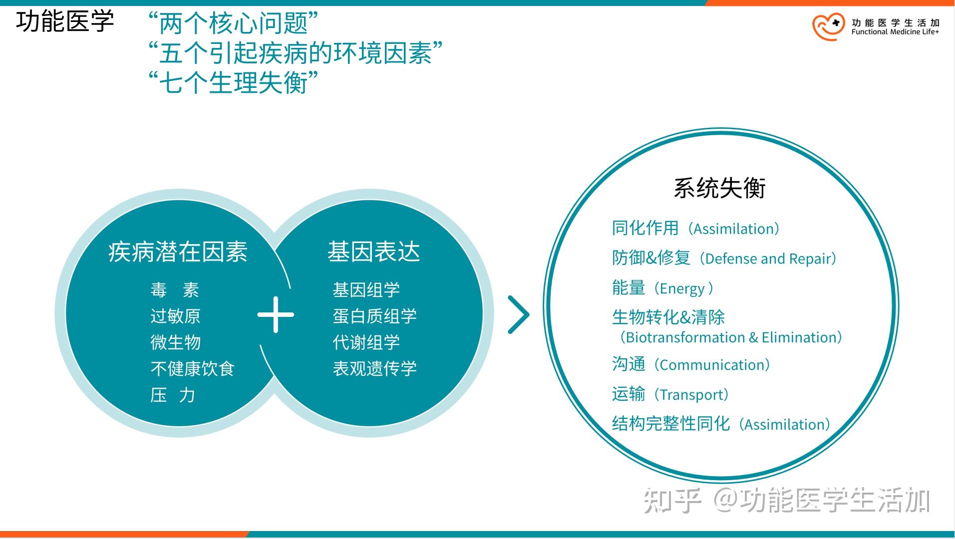 如何应用功能医学思维模式做健康管理? - 知乎