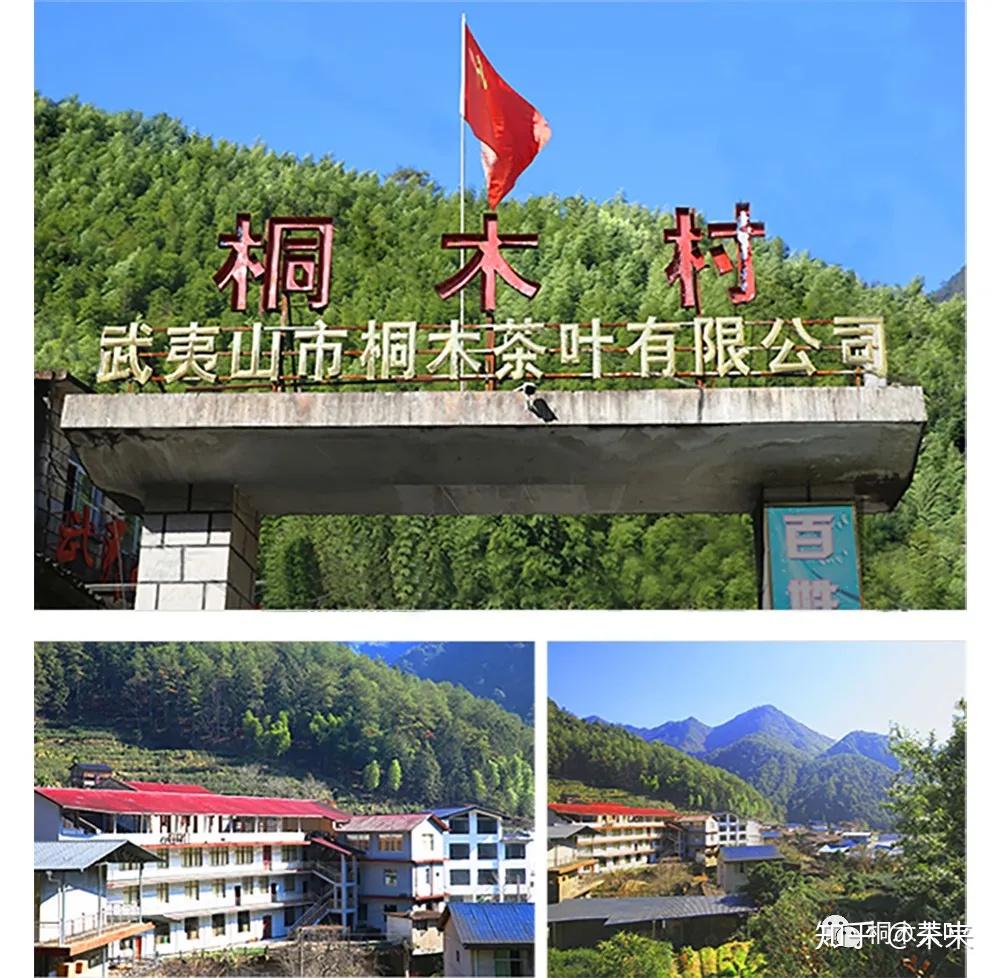 桐木旗舰店坚守32年原产地好茶